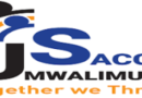 5 Job Positions of Internal Auditors at Umwalimu SACCO | Kigali: (Deadline: 02-05-2024)